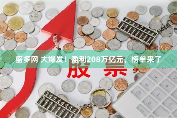 盛多网 大爆发！盈利208万亿元，榜单来了